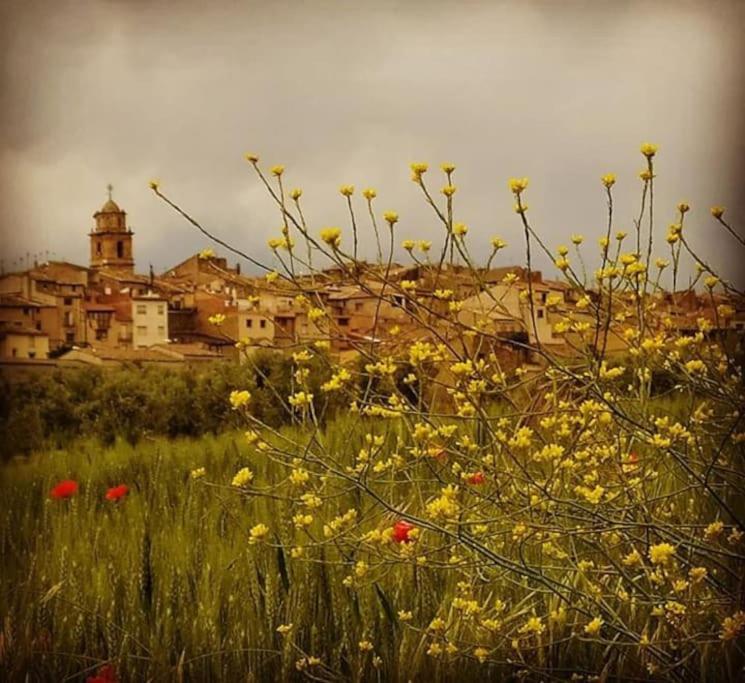 Holiday home Les Lludrigues Casa Loft Con Aire Ac Y Terraza Arnes